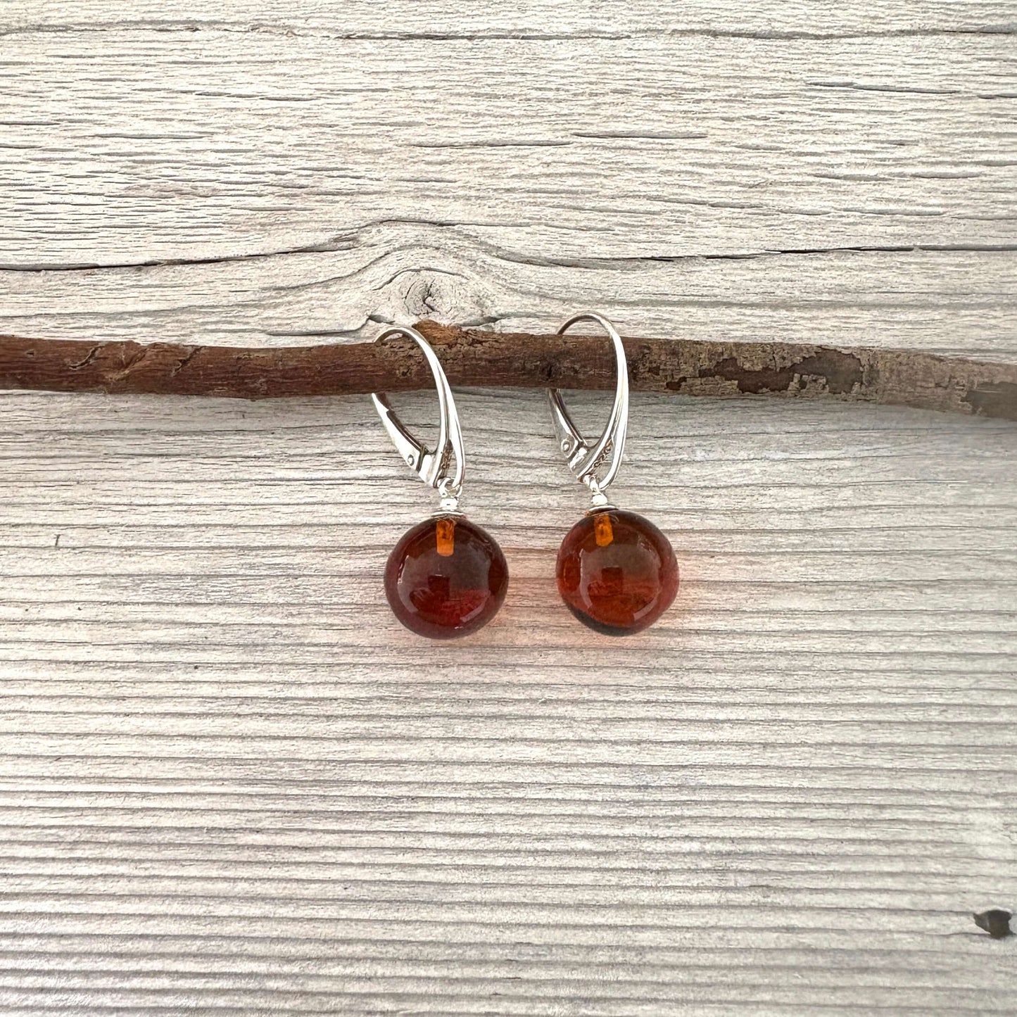 Pair of amber round earrings on silver hooks, displayed on a wooden branch.