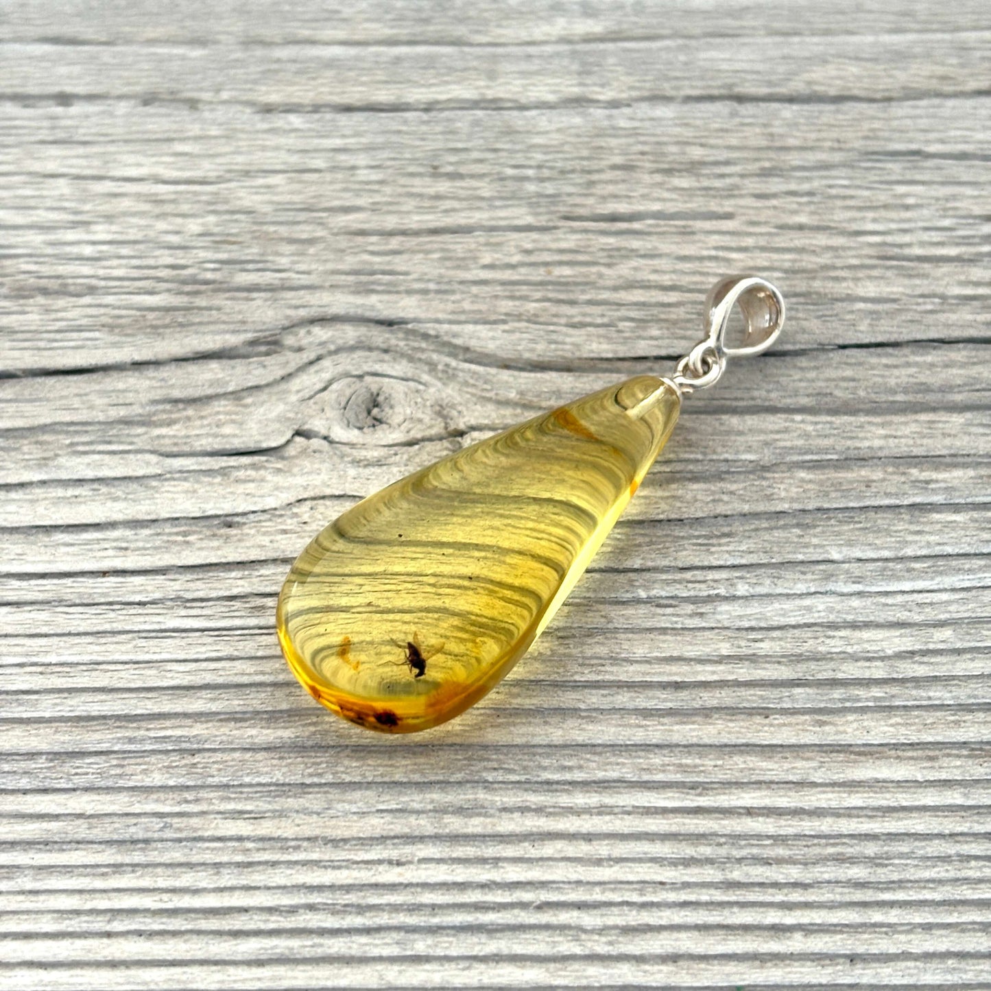 amber pendant with insect