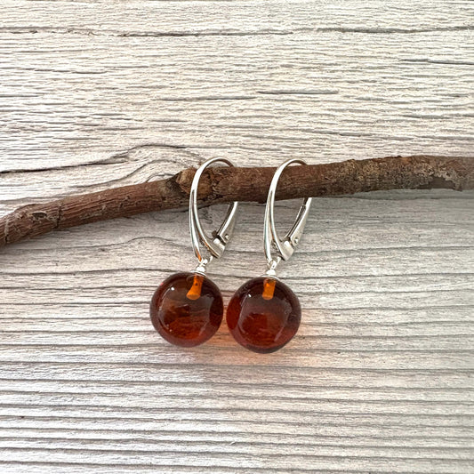 Pair of amber earrings on a wooden branch with a wooden background