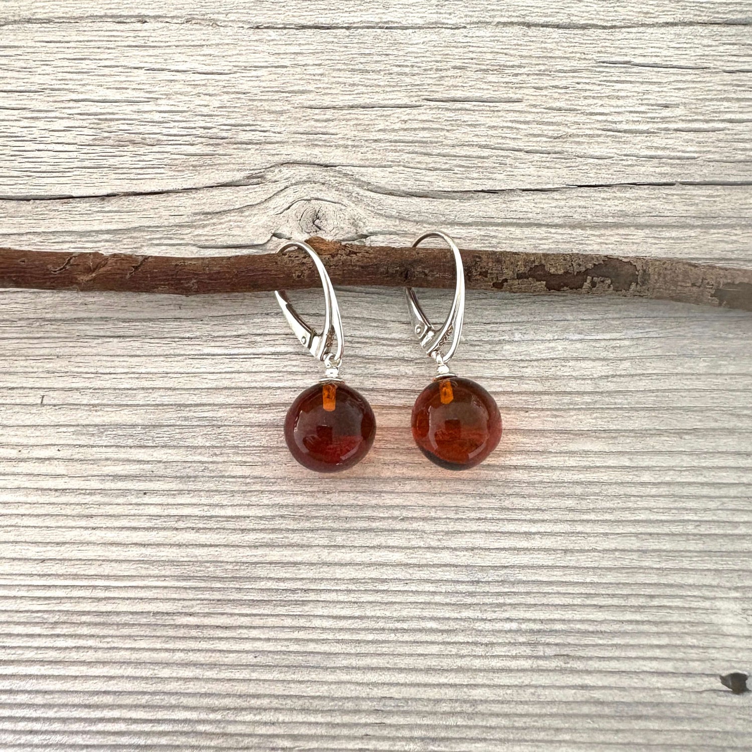 Pair of amber round earrings on silver hooks, displayed on a wooden branch.