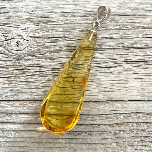 honey amber pendant embedded with insects front side