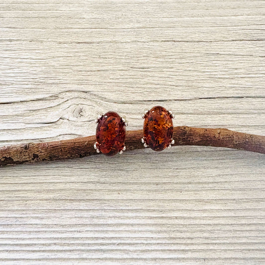 Pair of amber stud earrings on a wooden branch against a textured background