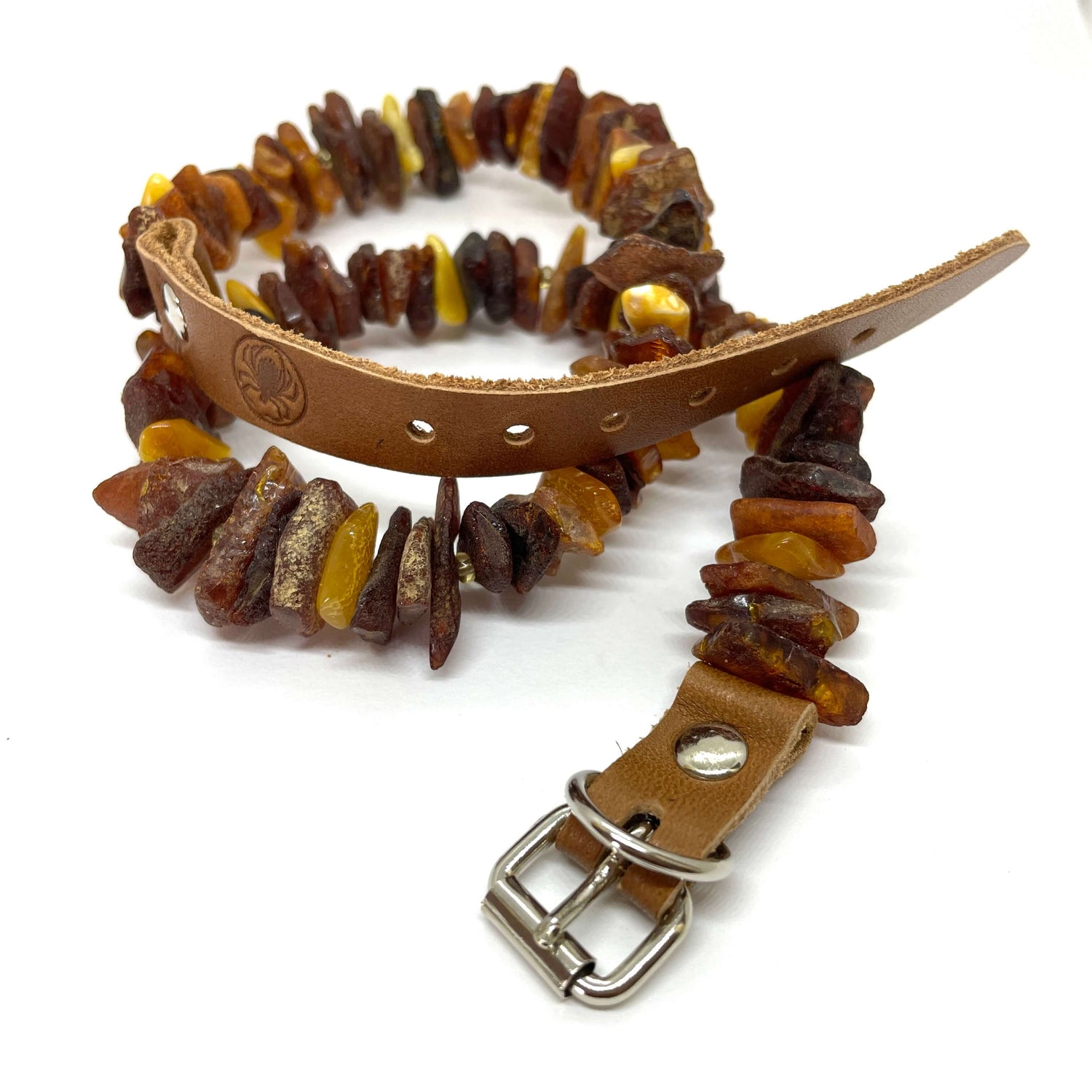 mixed coloured raw amber pet collar with leather belt and silver buckle