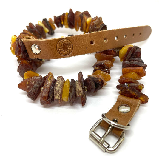 mixed coloured raw amber pet collar with leather belt and silver buckle