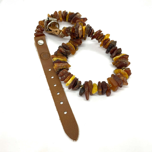 mixed coloured amber pet collar with leather belt