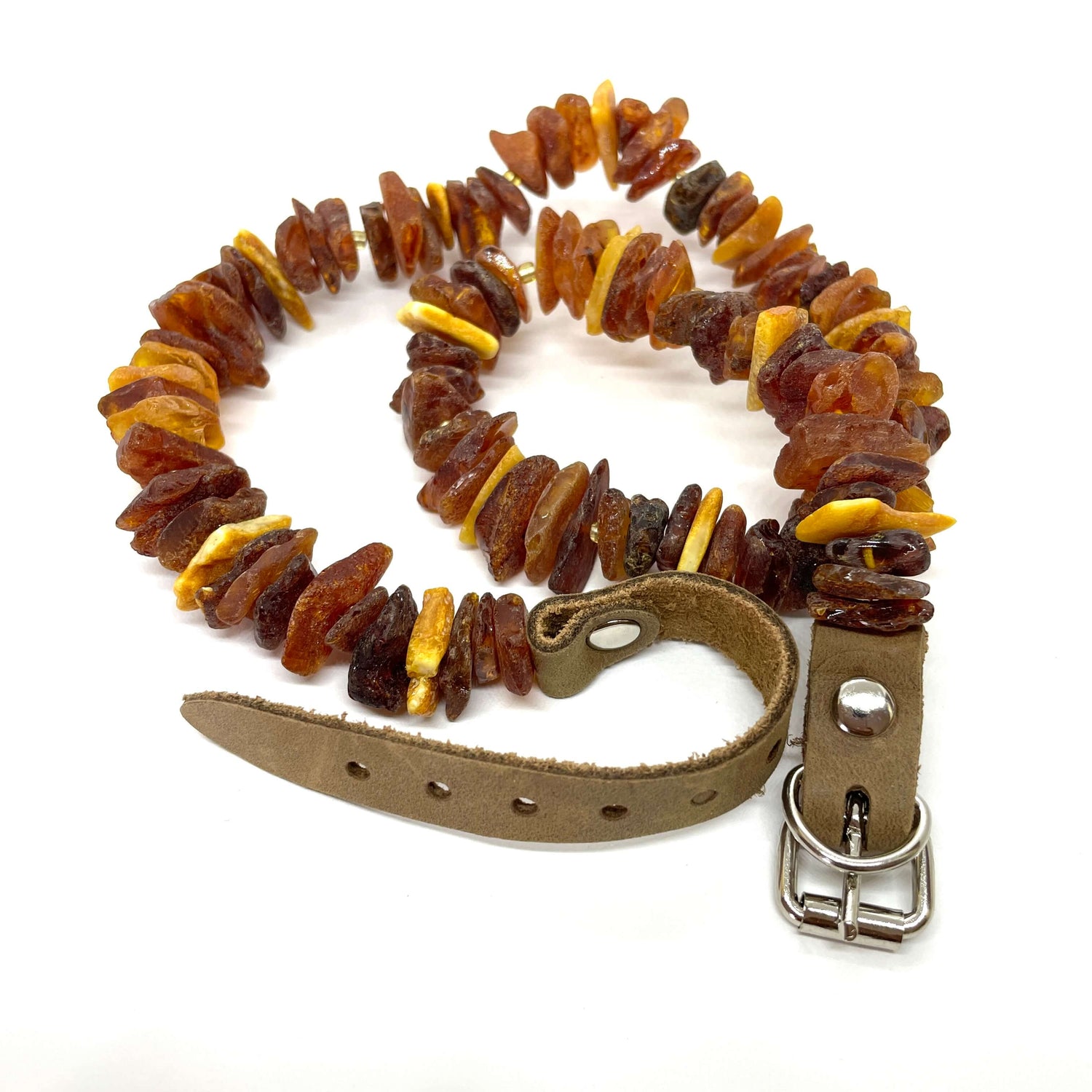 raw mixed coloured amber pet collar with buckle
